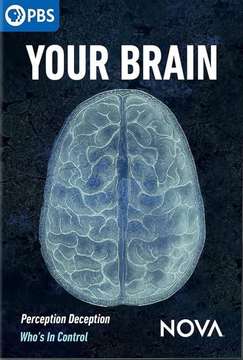 Your Brain poster