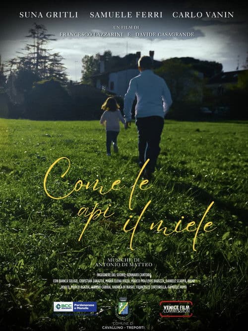 Come le api il miele poster