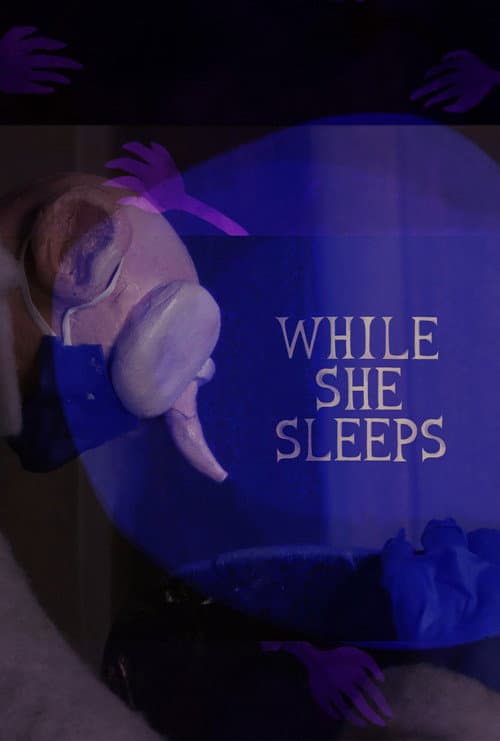 While She Sleeps poster