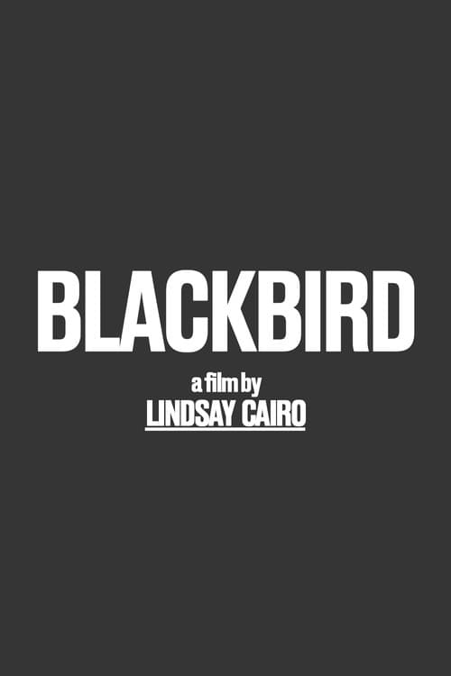 Blackbird poster