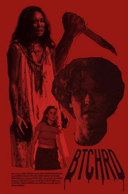 Butchered poster