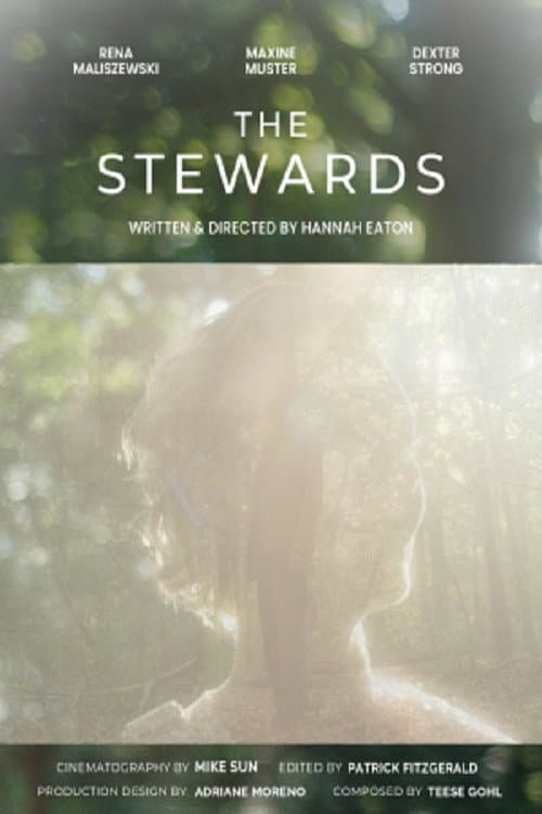 The Stewards poster