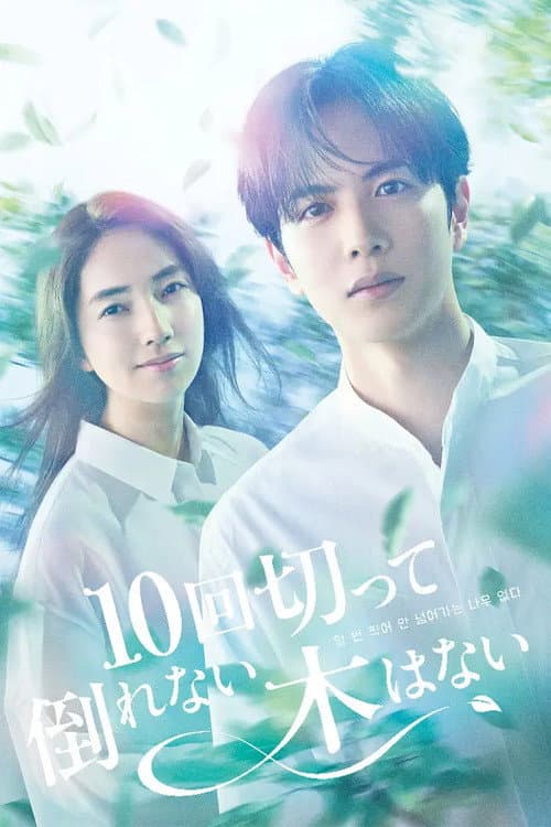 Ten Strokes to You poster