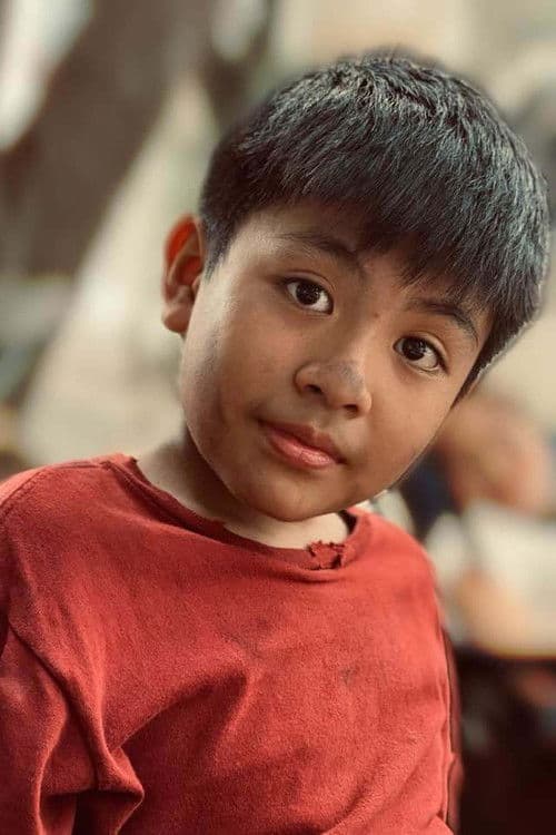 Phạm Duy Anh profile photo