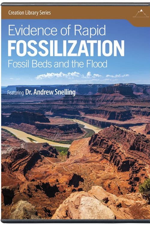 Evidence of Rapid Fossilization poster