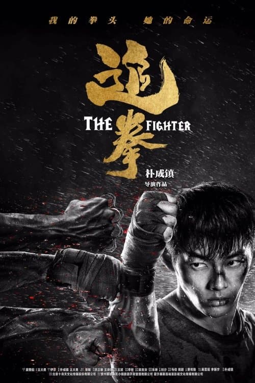 The Fighter poster