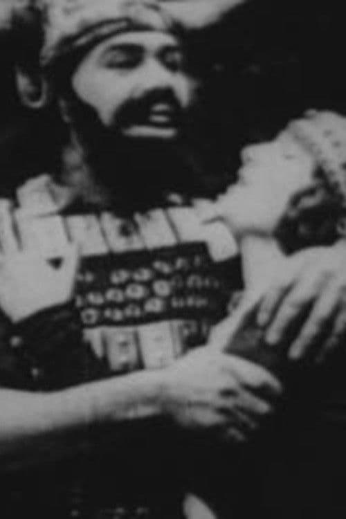 The Last King of Wales poster