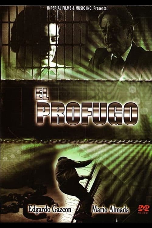 El prófugo poster