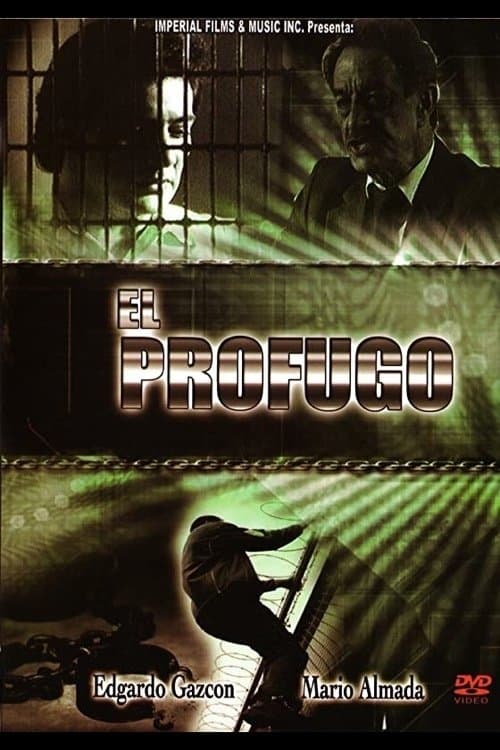 El prófugo poster