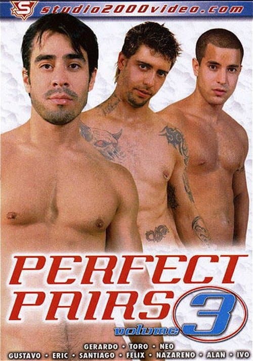 Perfect Pairs 3 poster