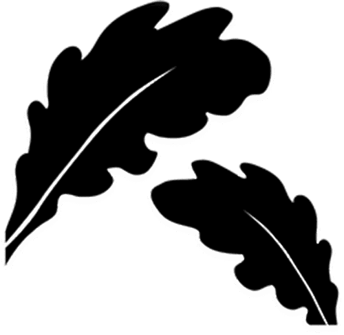 Twelve Oaks Cultural Communication