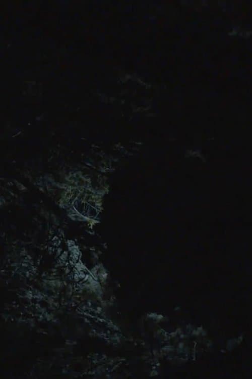 All the Planets in My Heart poster