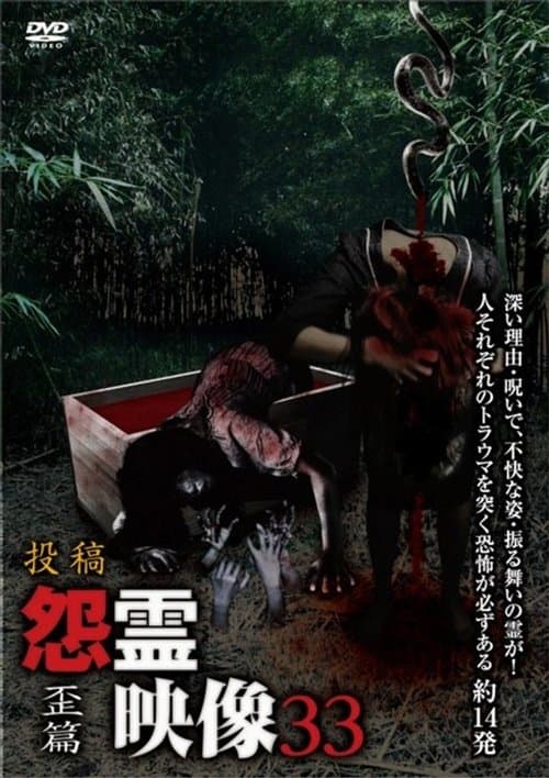 Posted Grudge Spirit Footage Vol.33: Distorted Edition poster