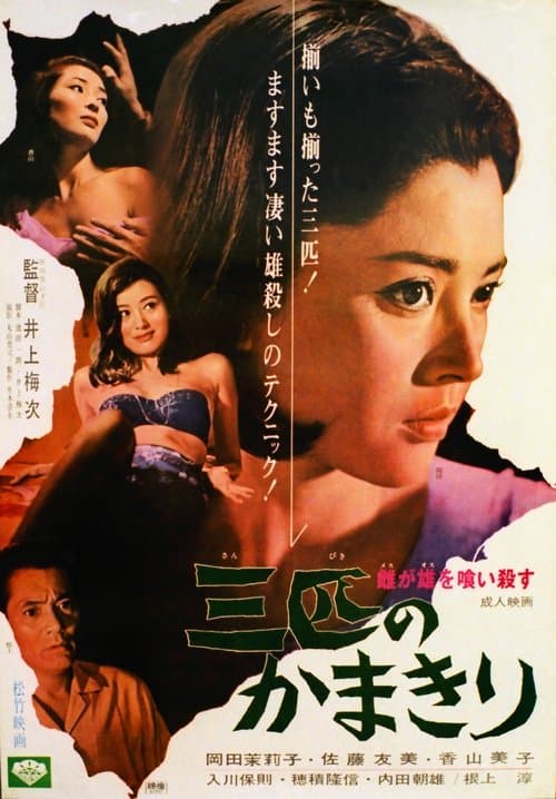 The Stronger Sex poster