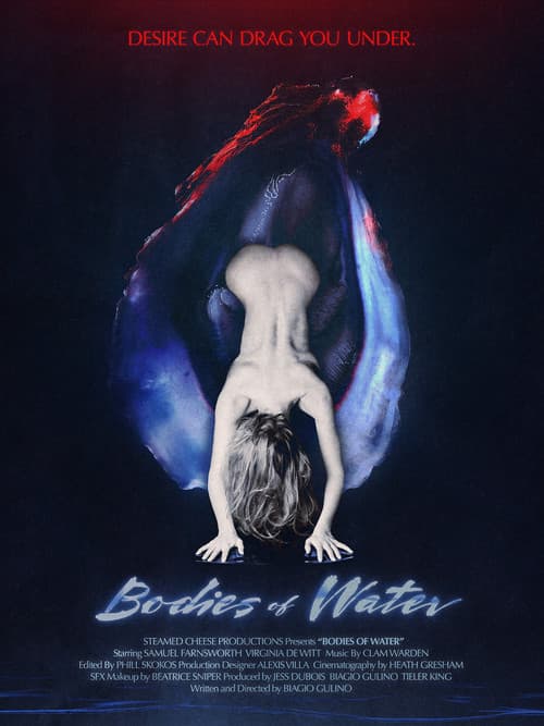 Bodies of Water poster