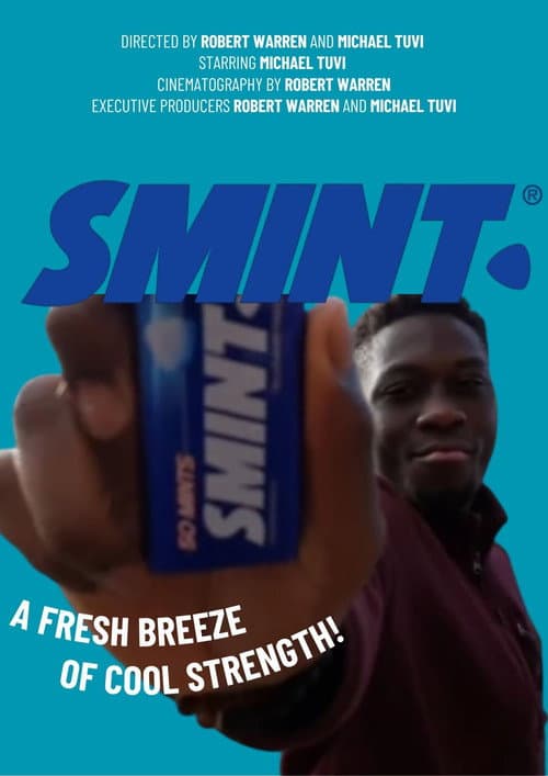 SMINT. poster