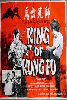 King of Kung Fu poster
