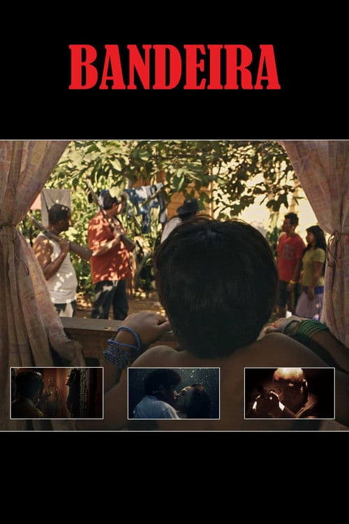 Four-Colored Banner poster