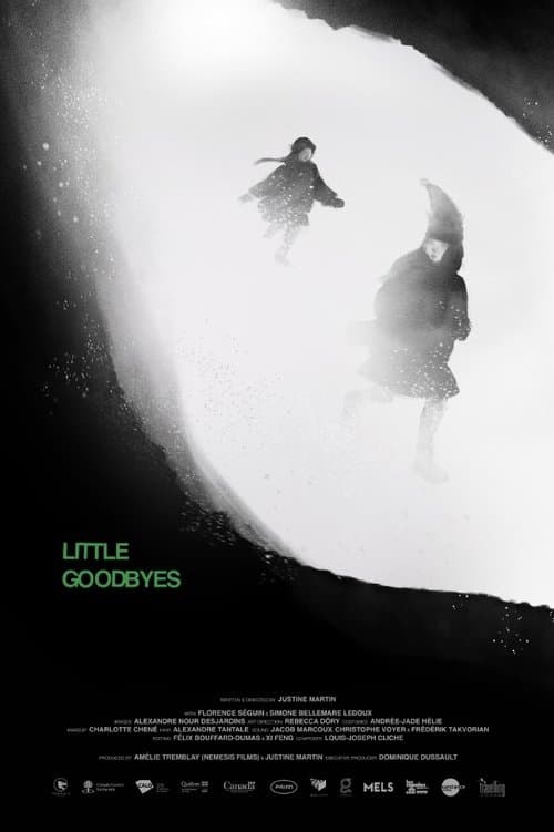 Little Goodbyes poster