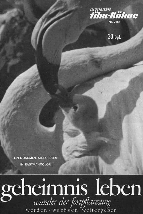 Geheimnis Leben - Wunder der Fortpflanzung poster