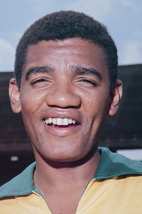 Wilson Simonal profile photo