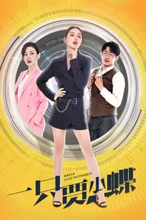 Goodbye Miss Loser poster