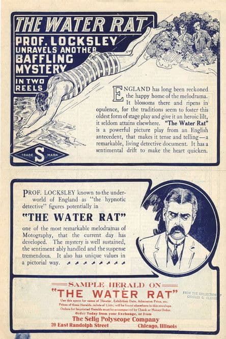 The Water Rat poster