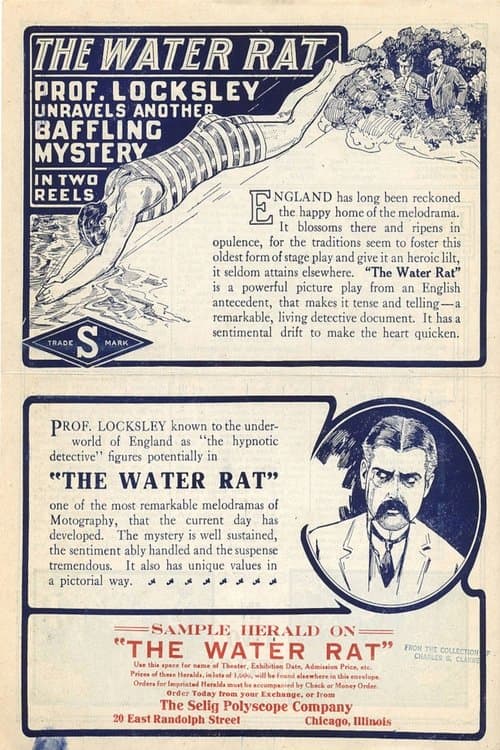 The Water Rat poster
