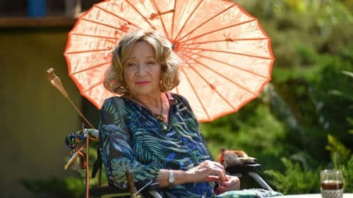 Old Woman Incubating poster