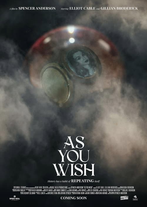 As You Wish poster
