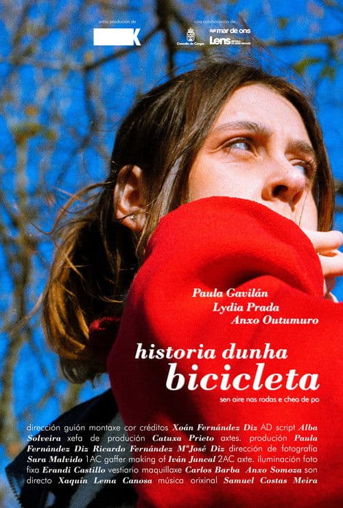 Story of a flat-tired bicycle poster