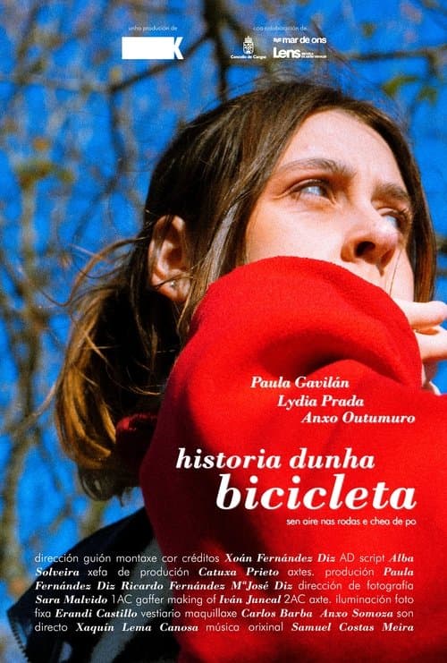 Story of a flat-tired bicycle poster