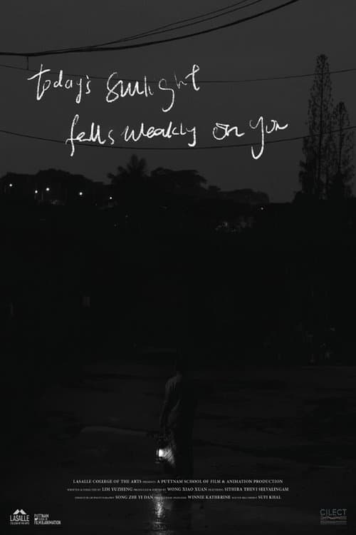 Today's Sunlight Falls Weakly on You