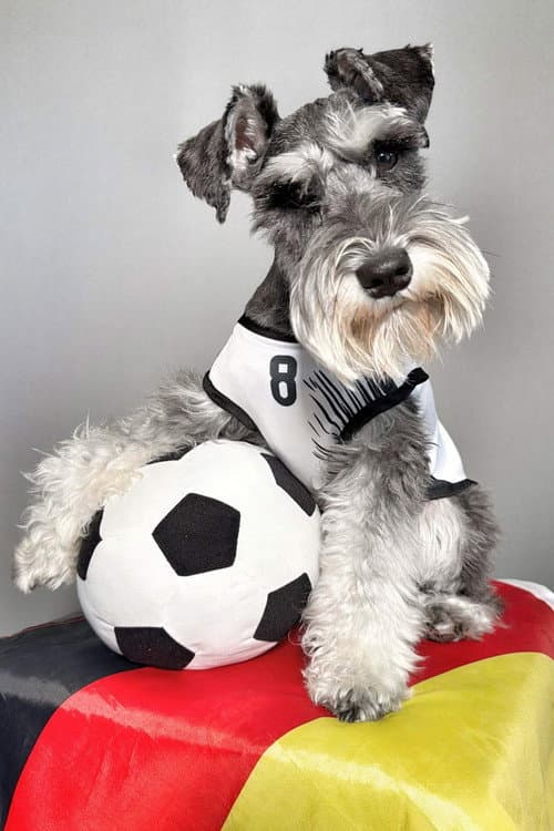 Montgomery Von Schnauz profile photo