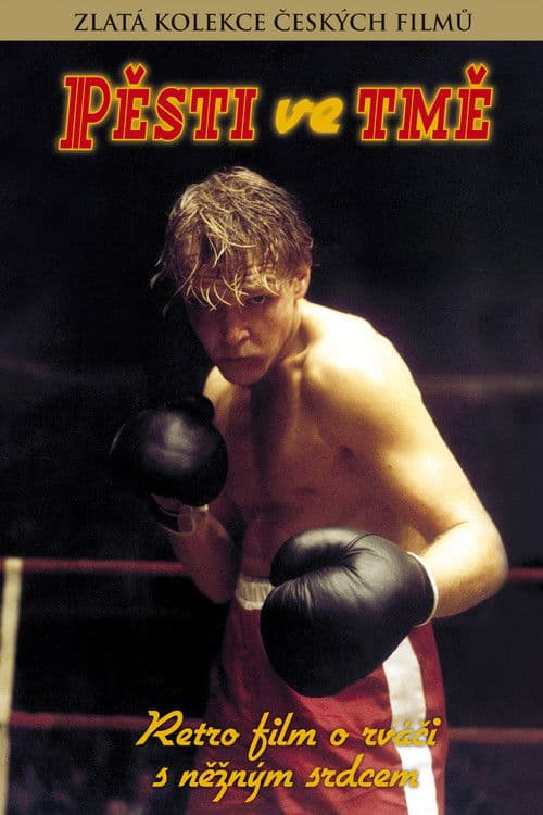 Pěsti ve tmě poster