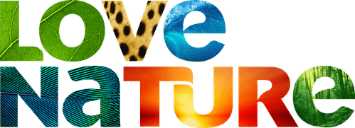 Love Nature