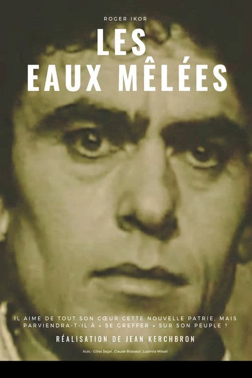 Les Eaux mêlées poster