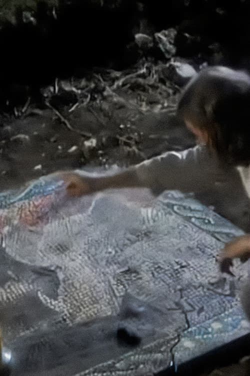 Legend of the White Boar poster