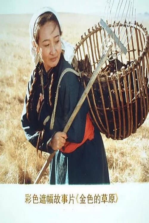 金色的草原 poster