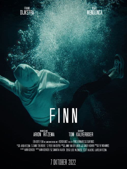 FINN poster