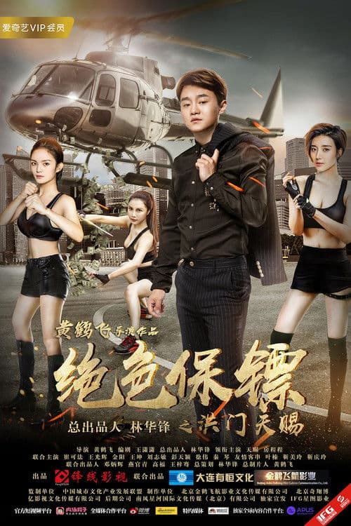 Stunning Bodyguard poster