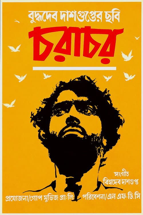 Shelter of the Wings poster