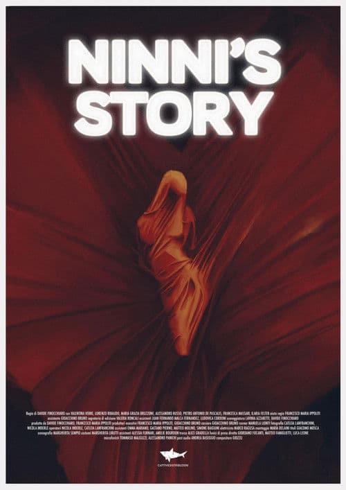 Ninni's Story poster