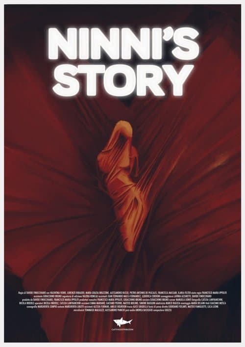 Ninni's Story poster