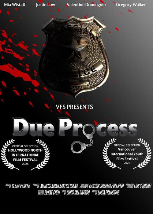 Due Process poster