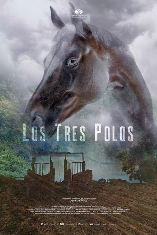 Los tres Polos poster