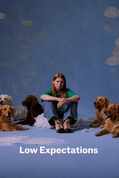 Low Expectations poster