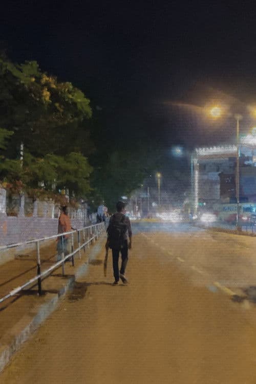 The path of a bat poster