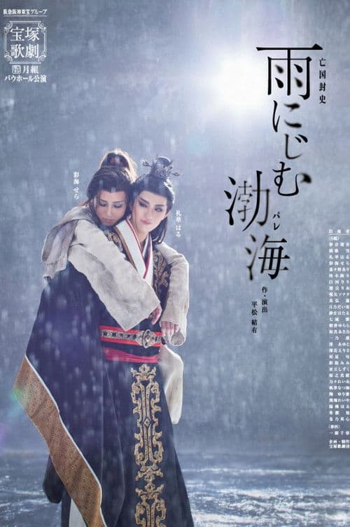 Balhae Blurred in Rain poster