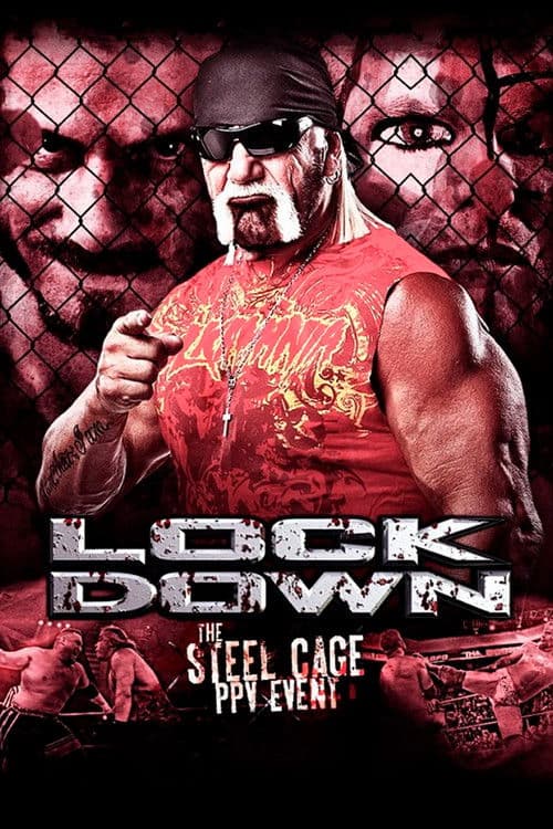 TNA Lockdown 2013 poster
